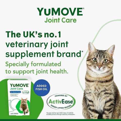 Senior Cat | Joint Supplement for Older, Stiff Cats, with Glucosamine, Chondroitin, Green Lipped Mussel, for SENIOR CATS and Breeds | 60 Capsules