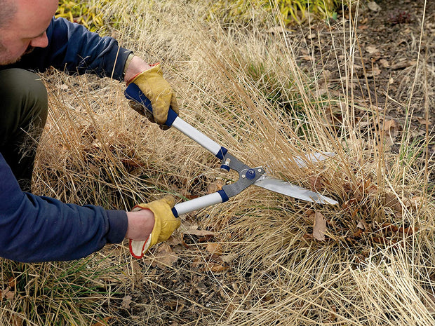 8110RS/09 Razorsharp Hedge Shears, Blue