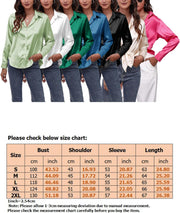 Women'S Satin Shirt Blouse Long Sleeve Botton down Elegant Blouse V Neck Silk Shirt Casual Ladies Office Work Tops