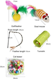 21Pcs  Kitten Toys Interactive Cat Feather Wand Ball Spring Mice Toy for Indoor Cats