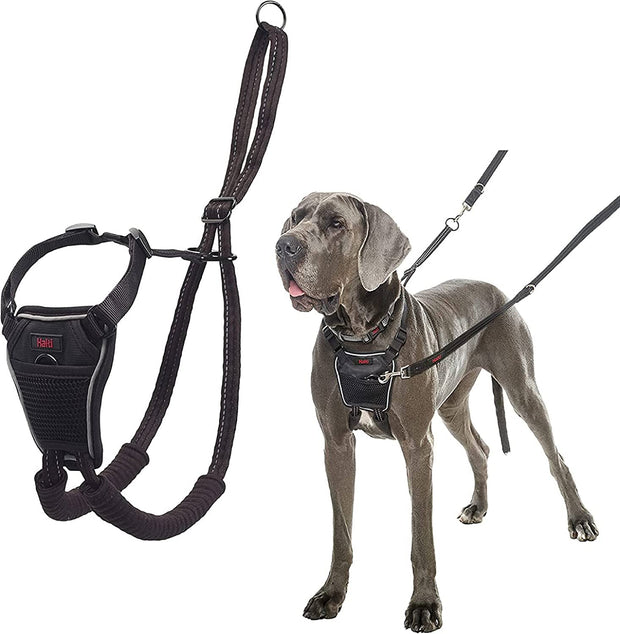 HALTI No Pull Harness Size Medium, Professional Dog Harness to Stop Pulling on the Lead, Easy to Use, Anti-Pull Training Aid, Adjustable, Reflective and Breathable, for Medium Dogs, Black