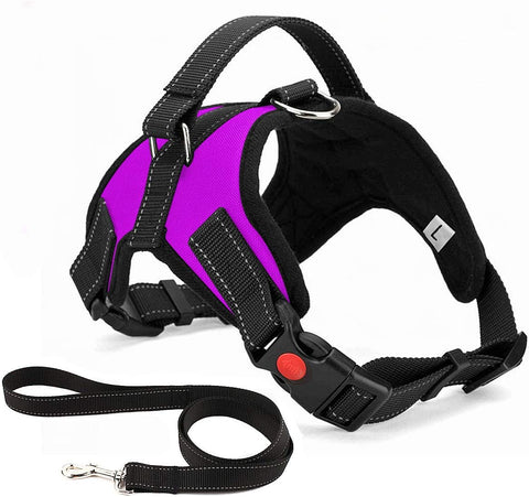 No Pull Dog Harness Breathable Adjustable Comfort Free Lead Included for Small Medium Large Dog Best for Training Walking S Pink