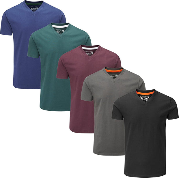 5 Pack Plain V-Neck T-Shirt