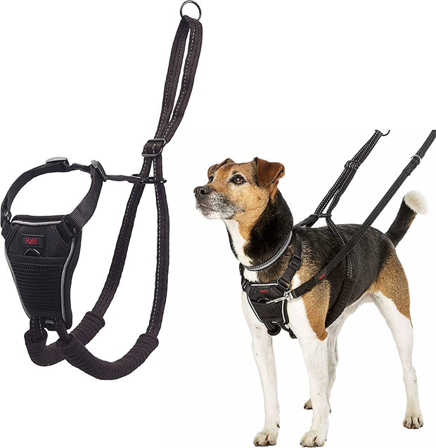 HALTI No Pull Harness Size Medium, Professional Dog Harness to Stop Pulling on the Lead, Easy to Use, Anti-Pull Training Aid, Adjustable, Reflective and Breathable, for Medium Dogs, Black