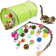 21Pcs  Kitten Toys Interactive Cat Feather Wand Ball Spring Mice Toy for Indoor Cats