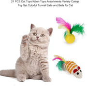 21Pcs  Kitten Toys Interactive Cat Feather Wand Ball Spring Mice Toy for Indoor Cats